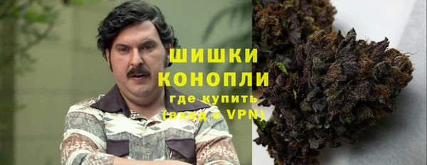 хмурый Абаза