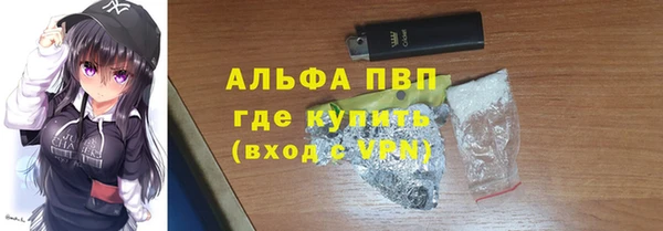 хмурый Абаза