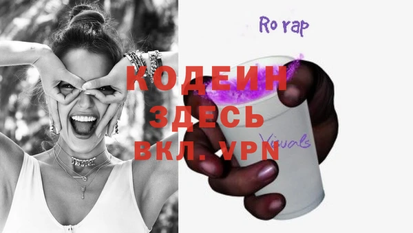 хмурый Абаза