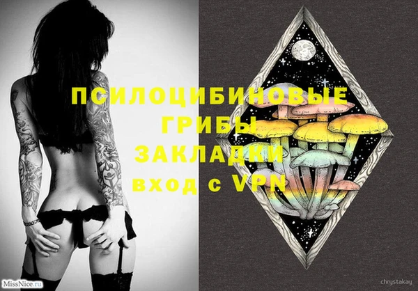 ECSTASY Абинск