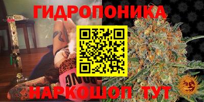альфа пвп Кинель