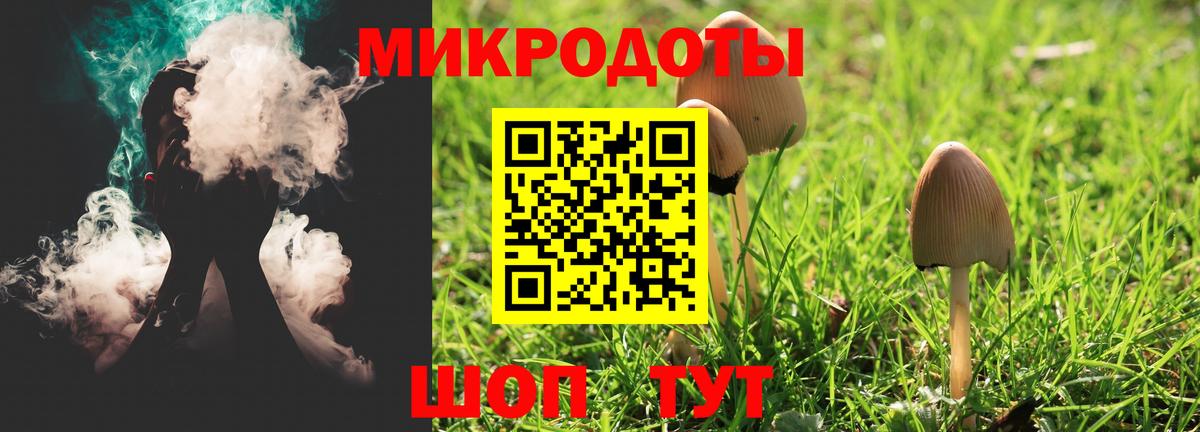 Нальчик  Псилоцибиновые грибы Psilocybe  Вход с VPN  Галлюциногенные грибы ЛСД 